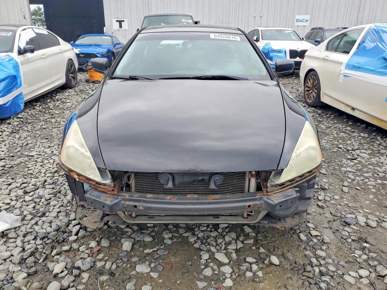 2007 Honda Accord Ex Black vin: 1HGCM72797A021438