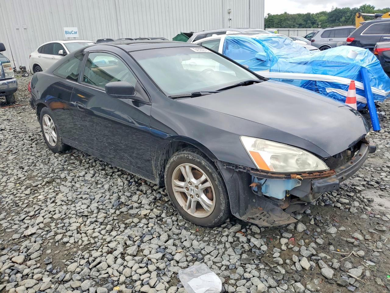 2007 Honda Accord Ex Black vin: 1HGCM72797A021438