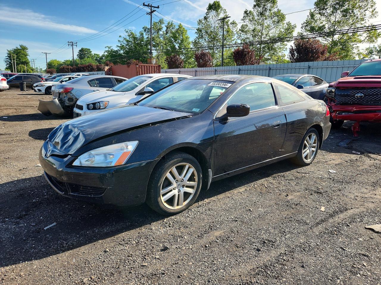 2004 Honda Accord Ex Black vin: 1HGCM81784A012507