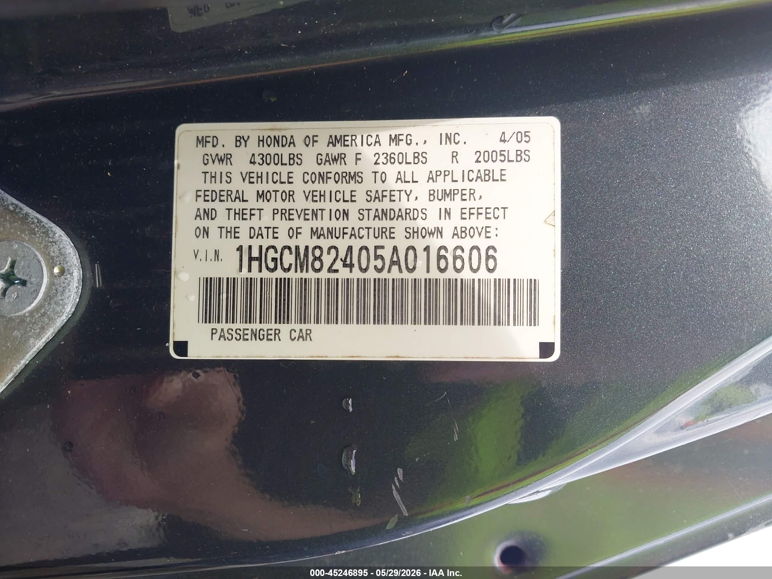 2005 Honda Accord 3.0 Lx Special Edition Blue vin: 1HGCM82405A016606