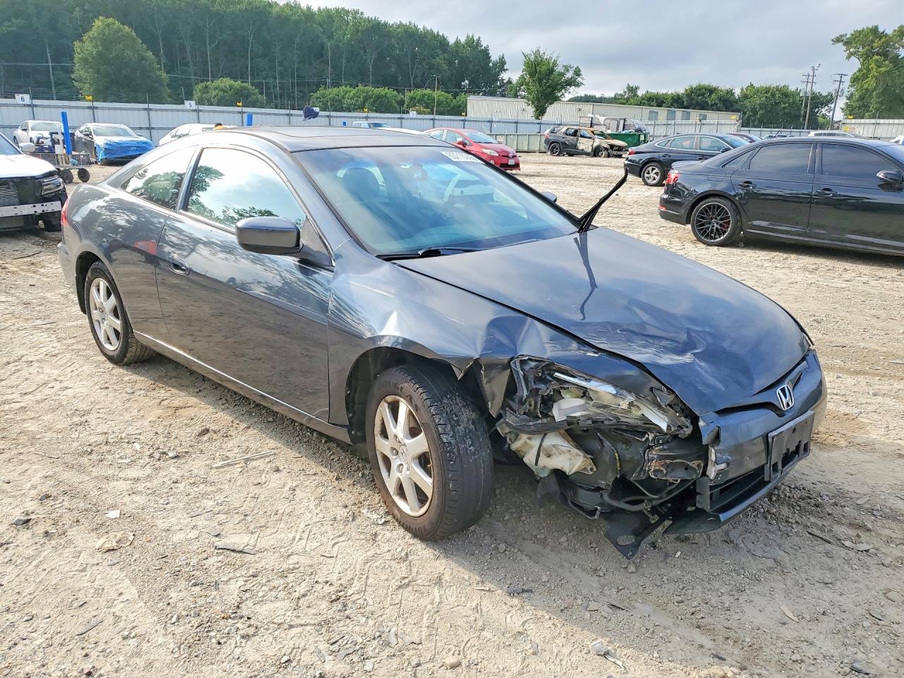 2005 Honda Accord Se Gray vin: 1HGCM82415A015996