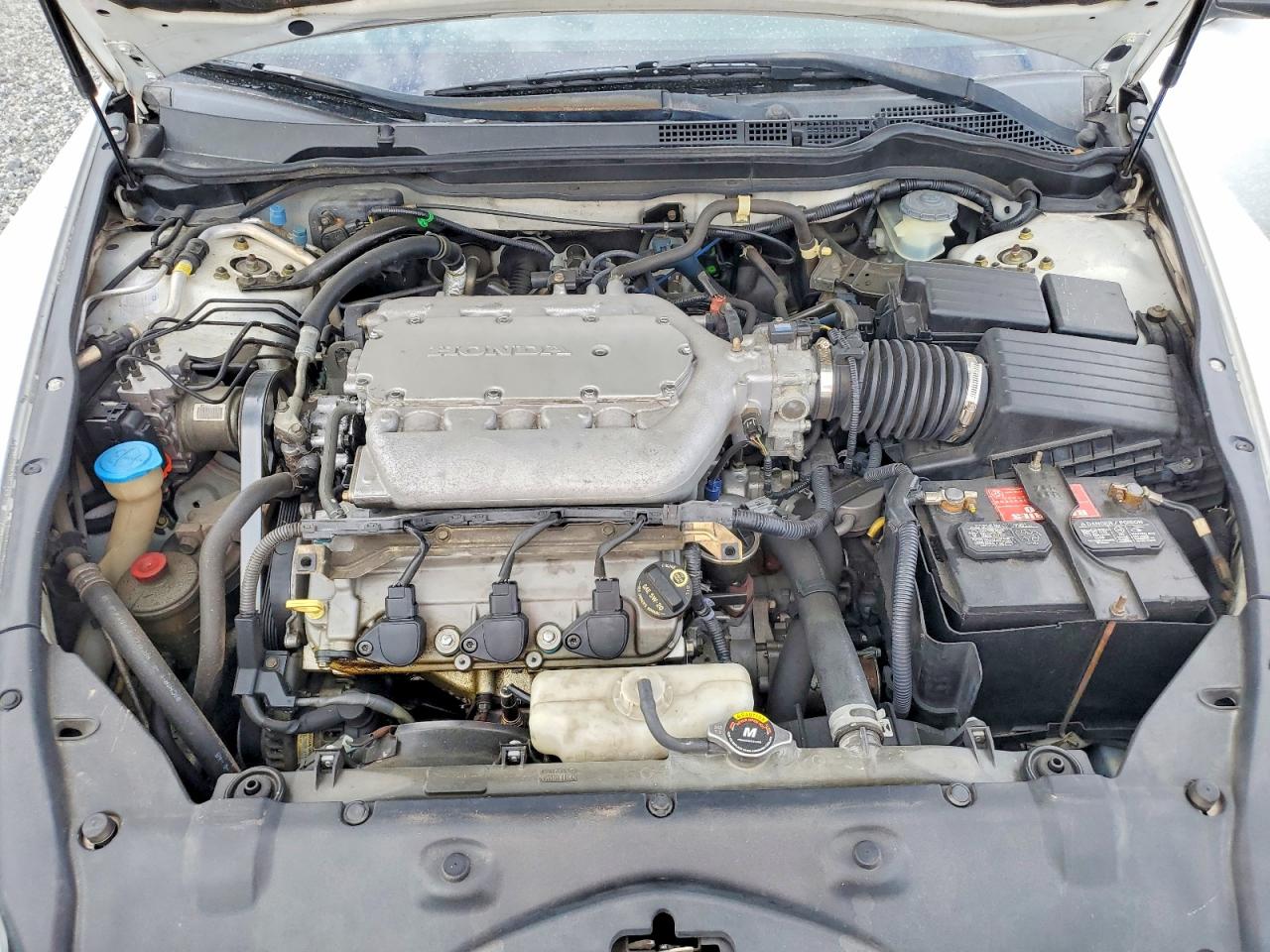 2005 Honda Accord Se White vin: 1HGCM82445A015720