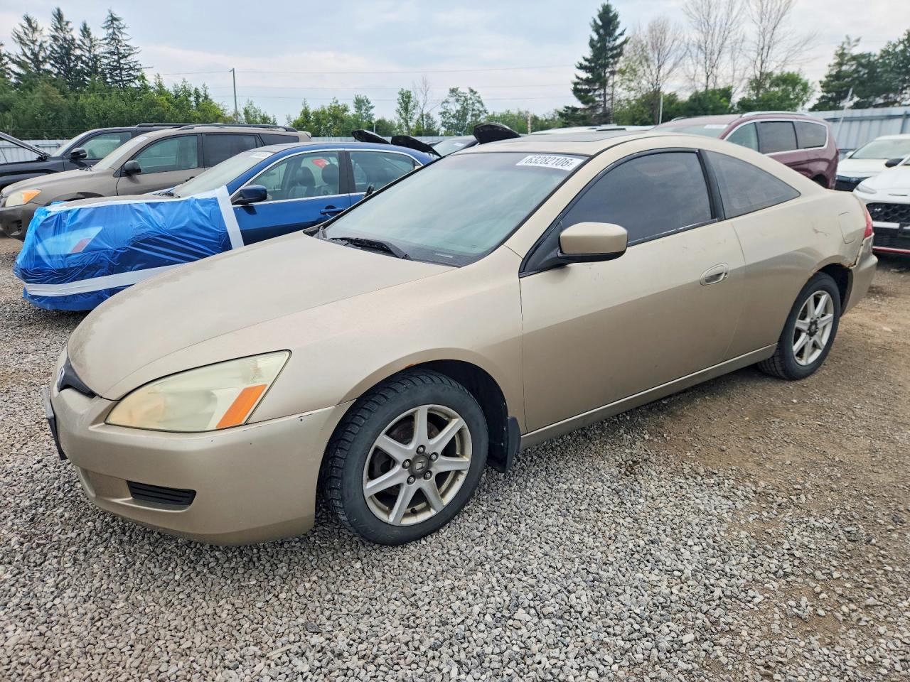 2003 Honda Accord Ex Beige vin: 1HGCM825X3A800426