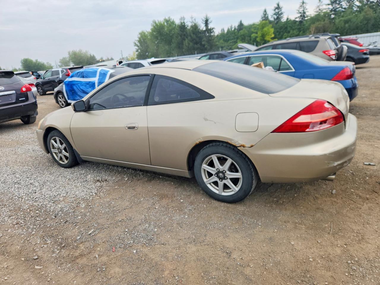 2003 Honda Accord Ex Beige vin: 1HGCM825X3A800426