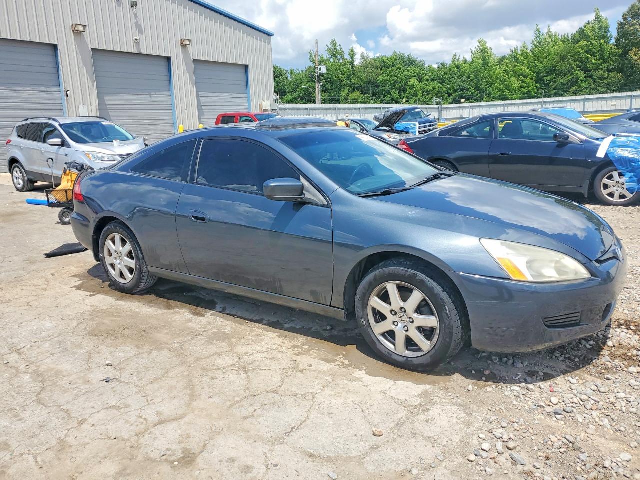2005 Honda Accord Ex Gray vin: 1HGCM82615A006071
