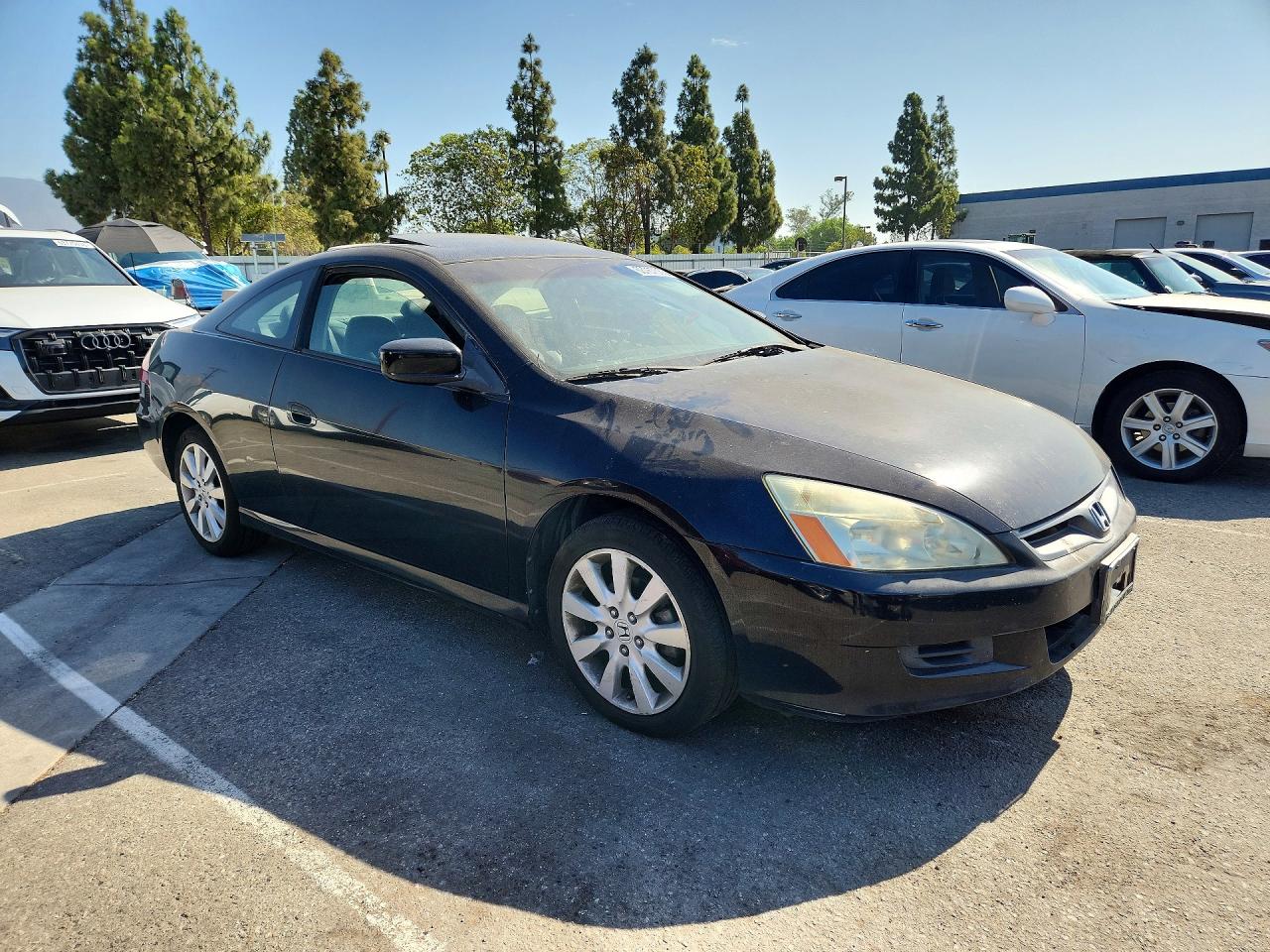 2007 Honda Accord Ex Black vin: 1HGCM82617A005814