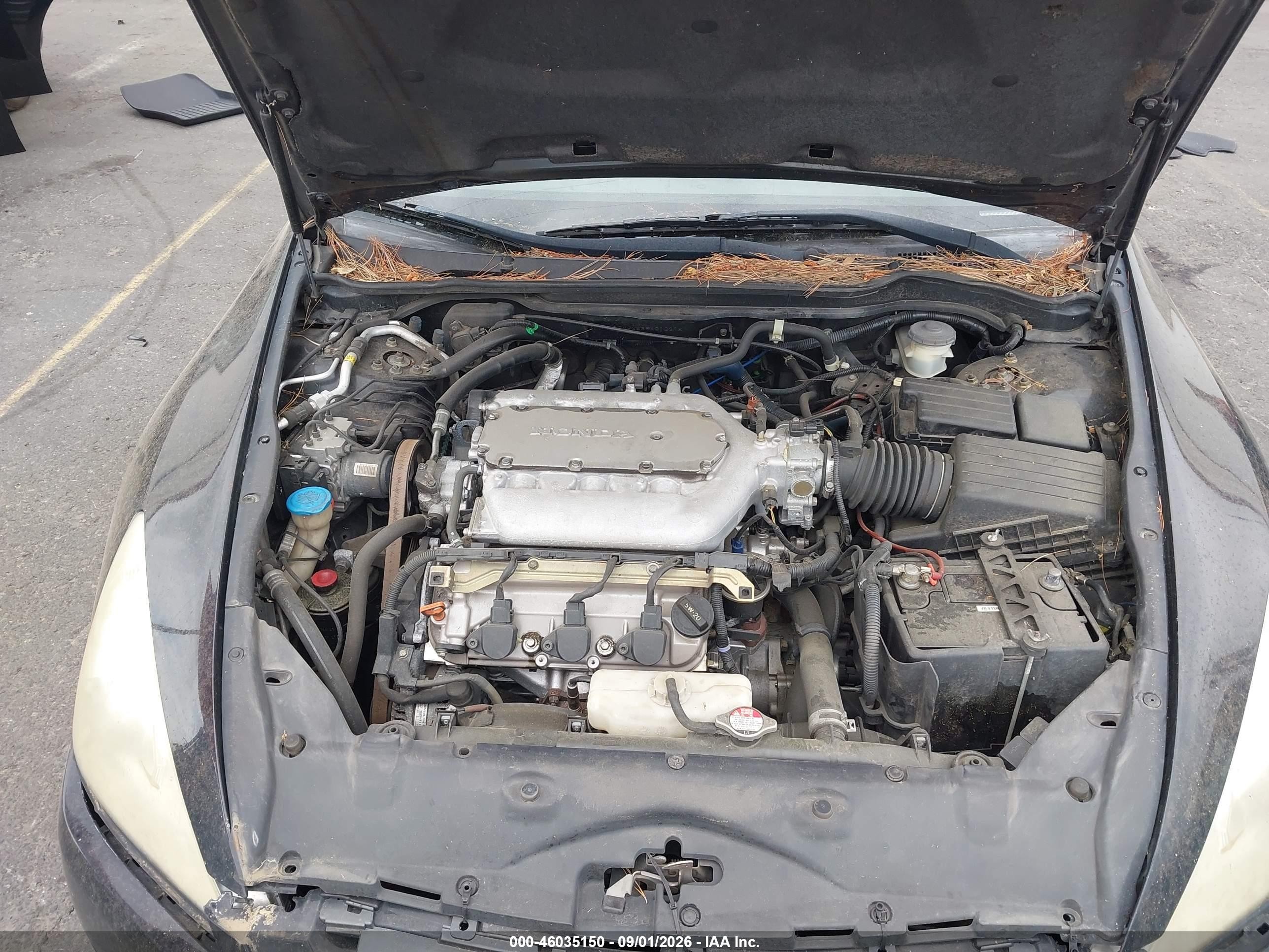 2005 Honda Accord 3.0 Ex Black vin: 1HGCM82635A010378