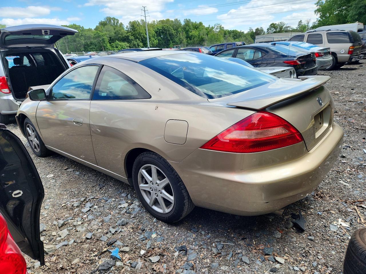 2003 Honda Accord Ex Gold vin: 1HGCM82643A010435