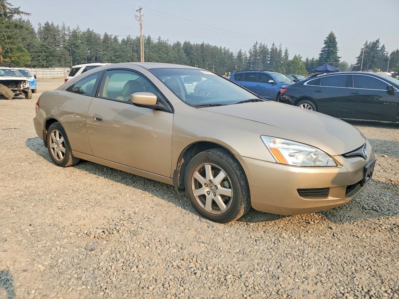 2005 Honda Accord Ex Gold vin: 1HGCM82675A011808