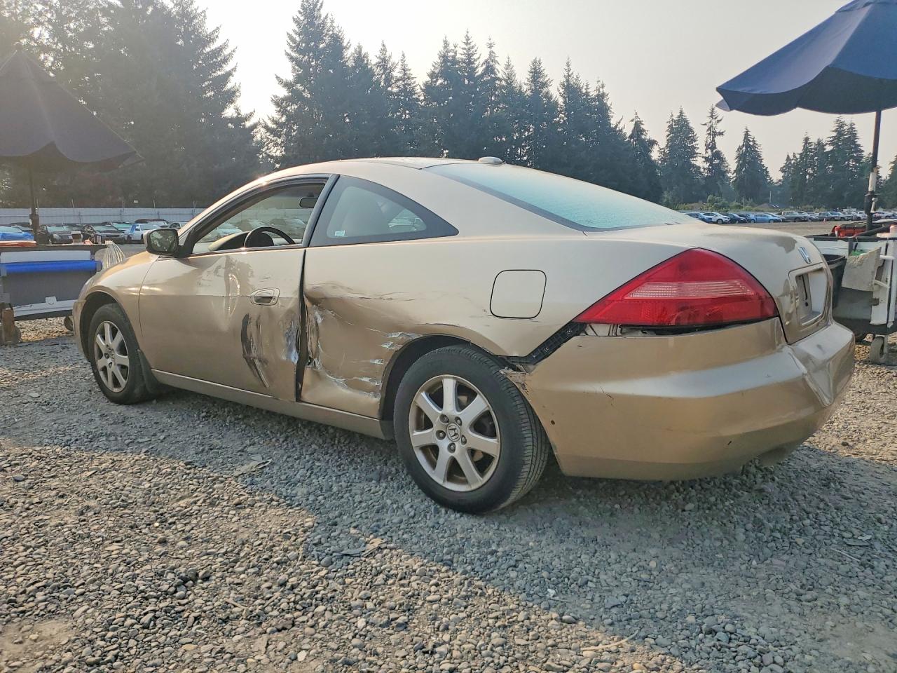 2005 Honda Accord Ex Gold vin: 1HGCM82675A011808