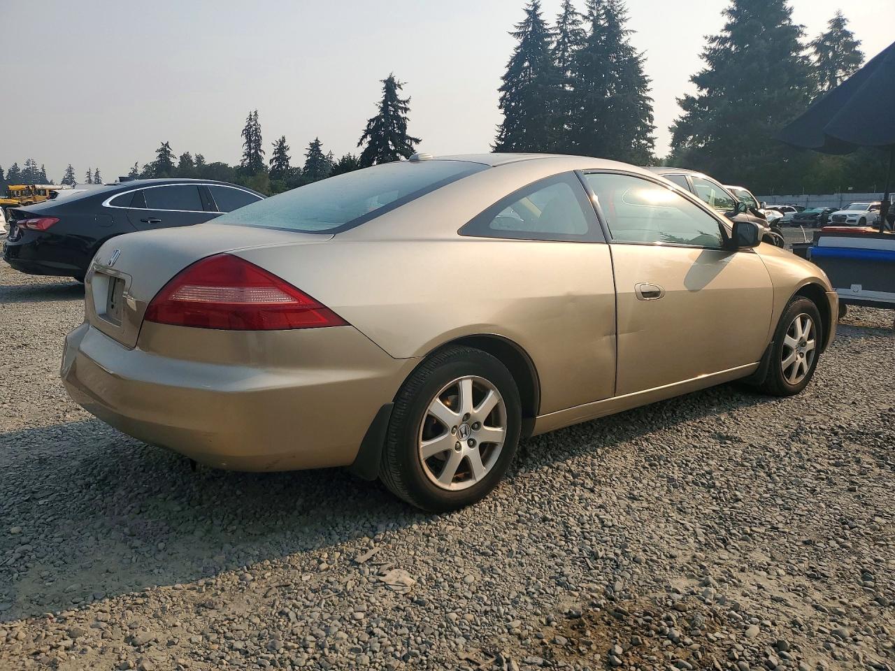 2005 Honda Accord Ex Gold vin: 1HGCM82675A011808