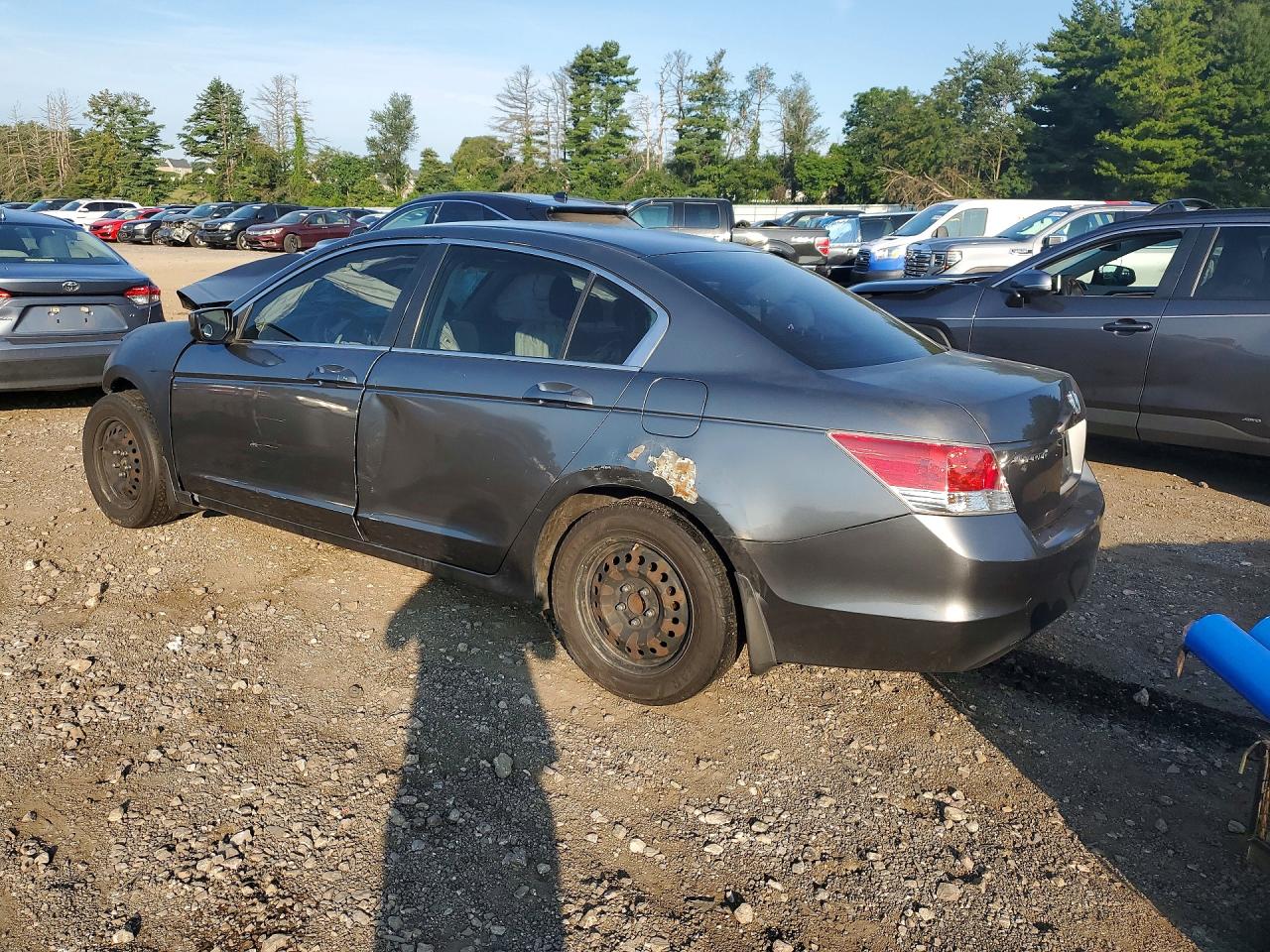 2009 Honda Accord Lx Gray vin: 1HGCP25339A108726