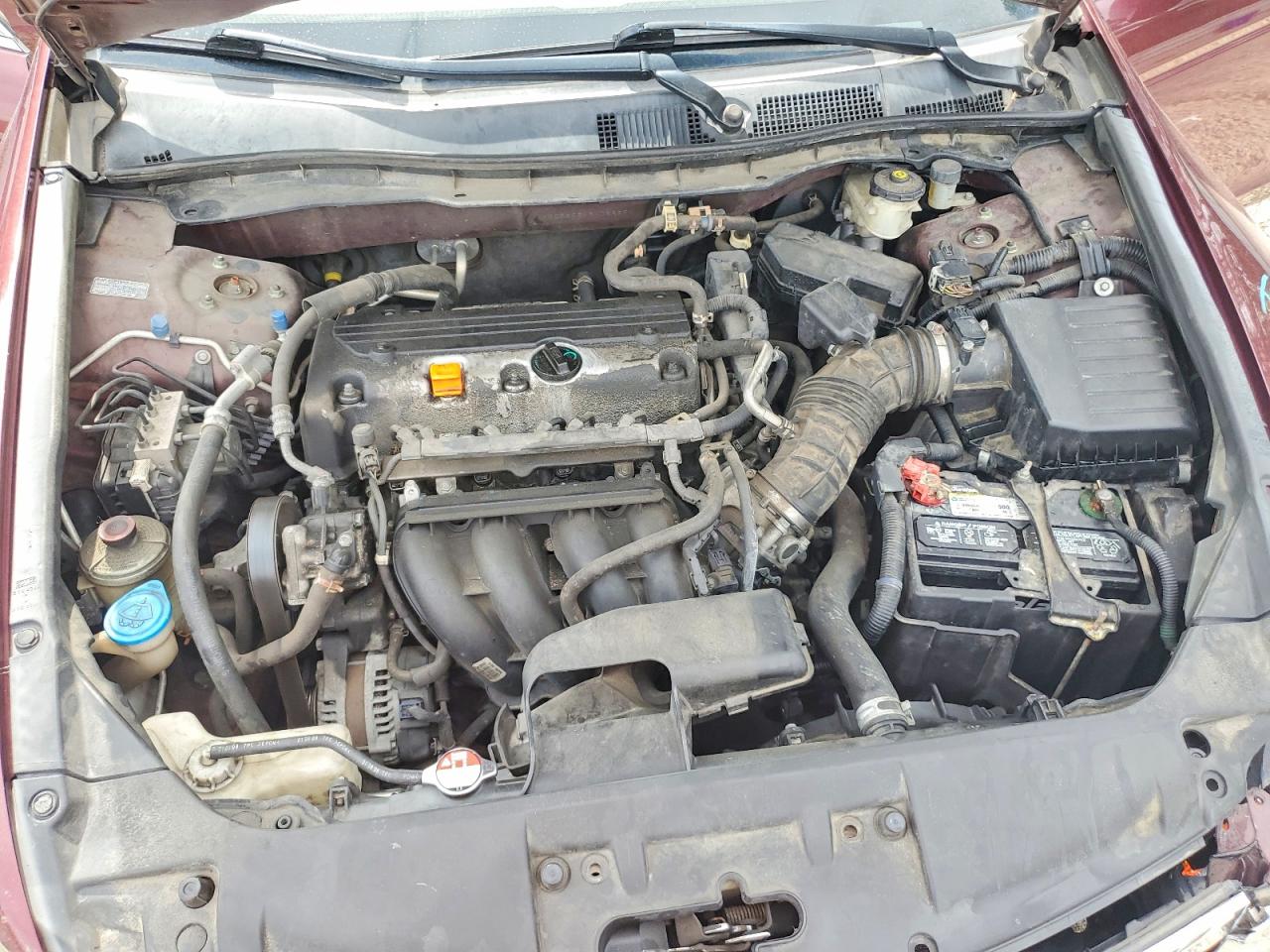 2009 Honda Accord Lx Burgundy vin: 1HGCP25349A082850