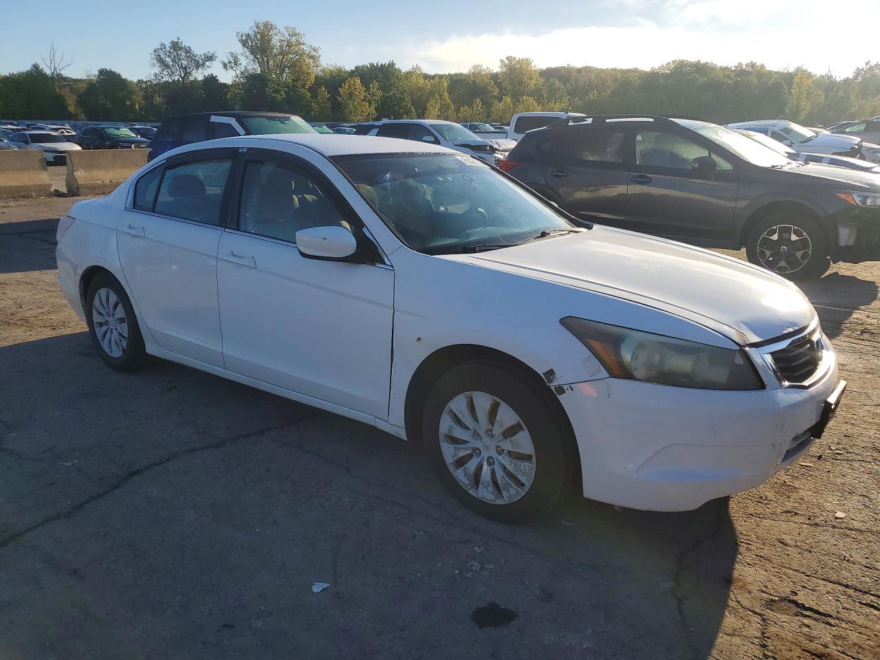 2009 Honda Accord Lx White vin: 1HGCP26339A114816