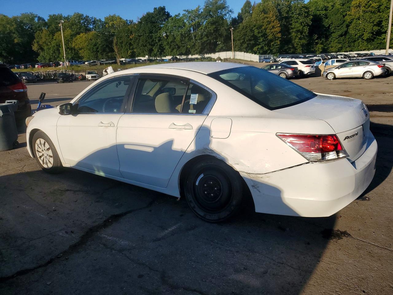 2009 Honda Accord Lx White vin: 1HGCP26339A114816