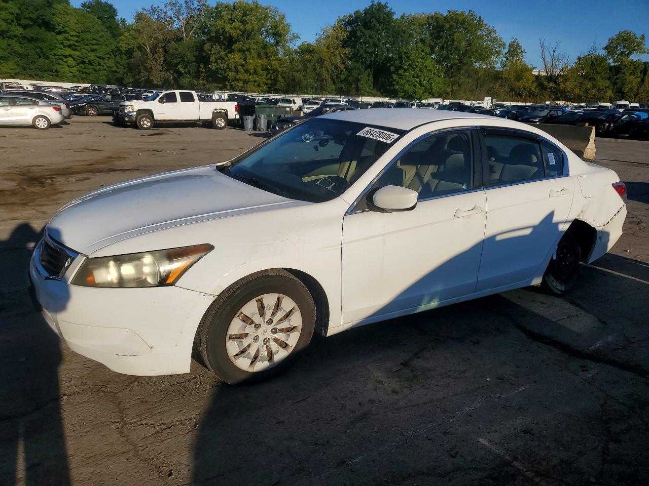 2009 Honda Accord Lx White vin: 1HGCP26339A114816