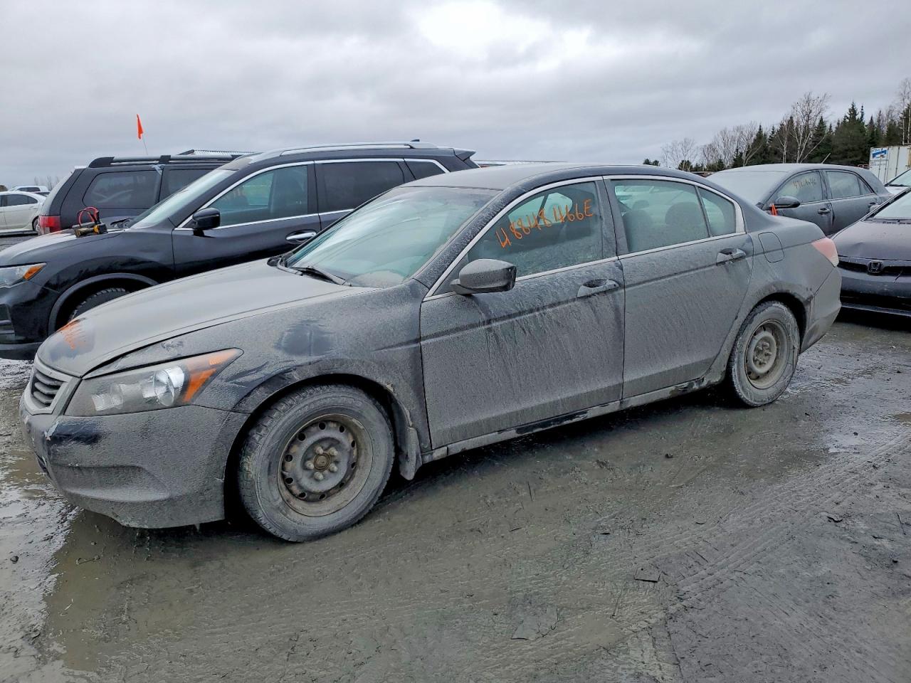 2009 Honda Accord Lx Black vin: 1HGCP26339A805120
