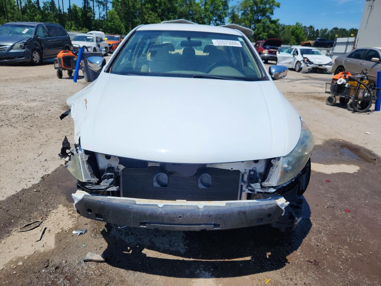 2008 Honda Accord Lx Белый vin: 1HGCP26358A009810