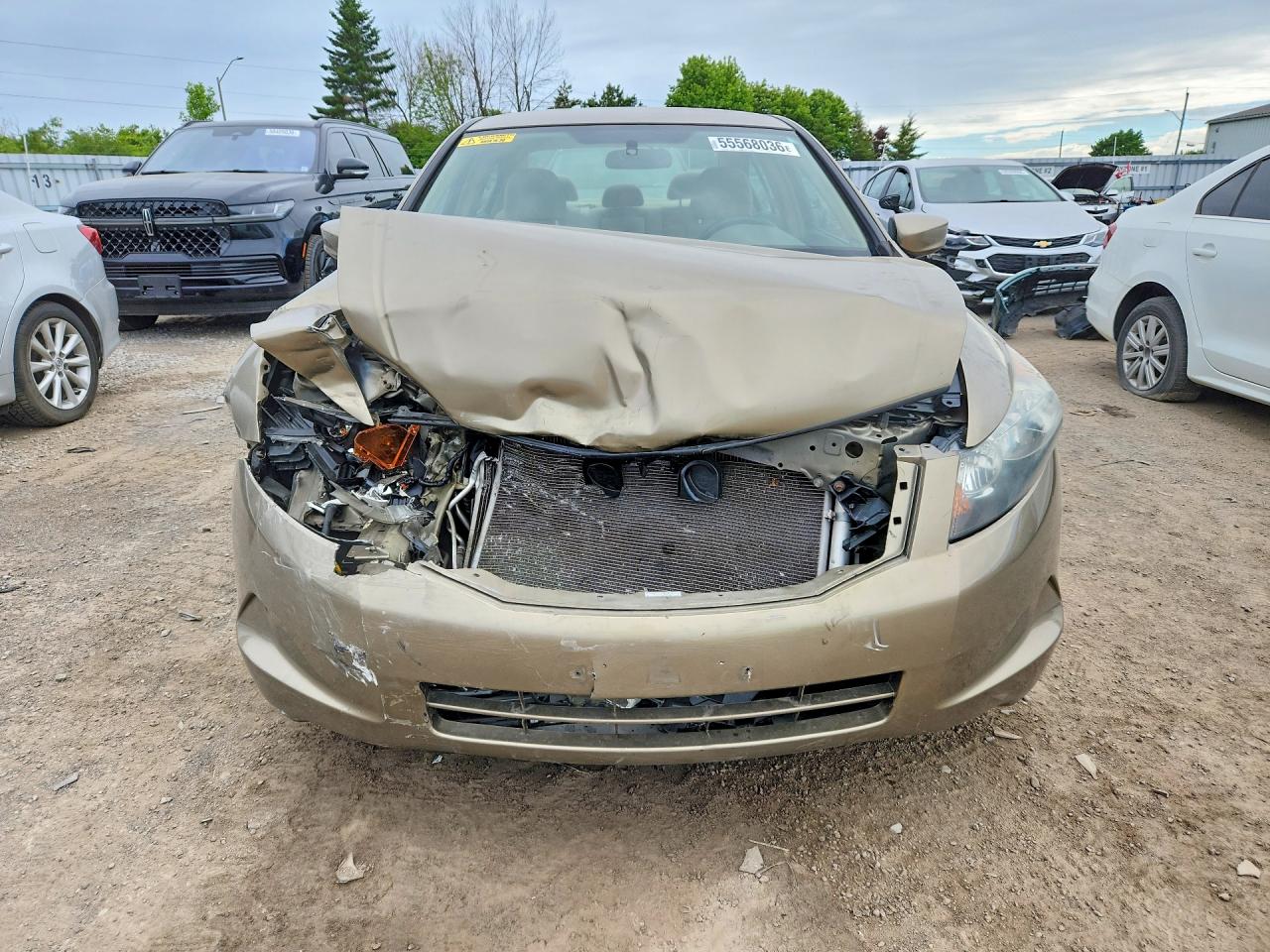 2009 Honda Accord Lx Tan vin: 1HGCP26359A808181