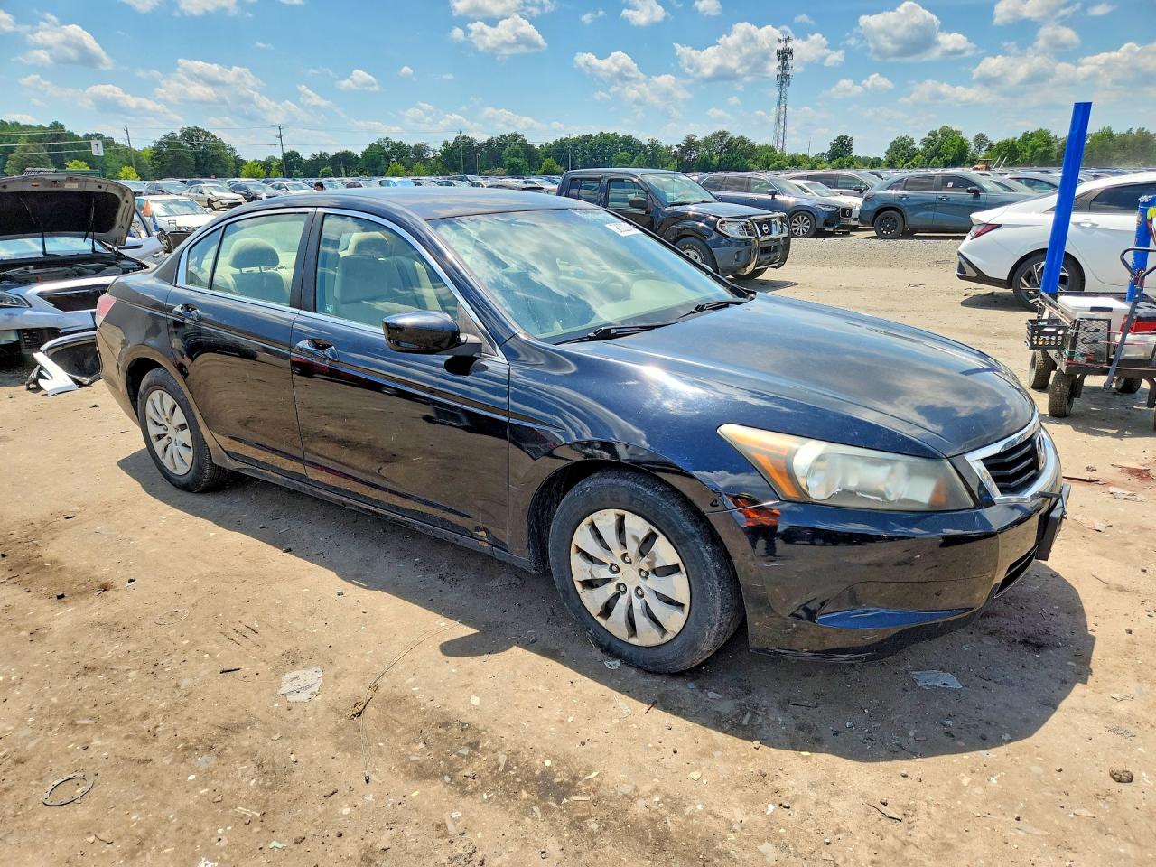 2009 Honda Accord Lx Black vin: 1HGCP26369A187002