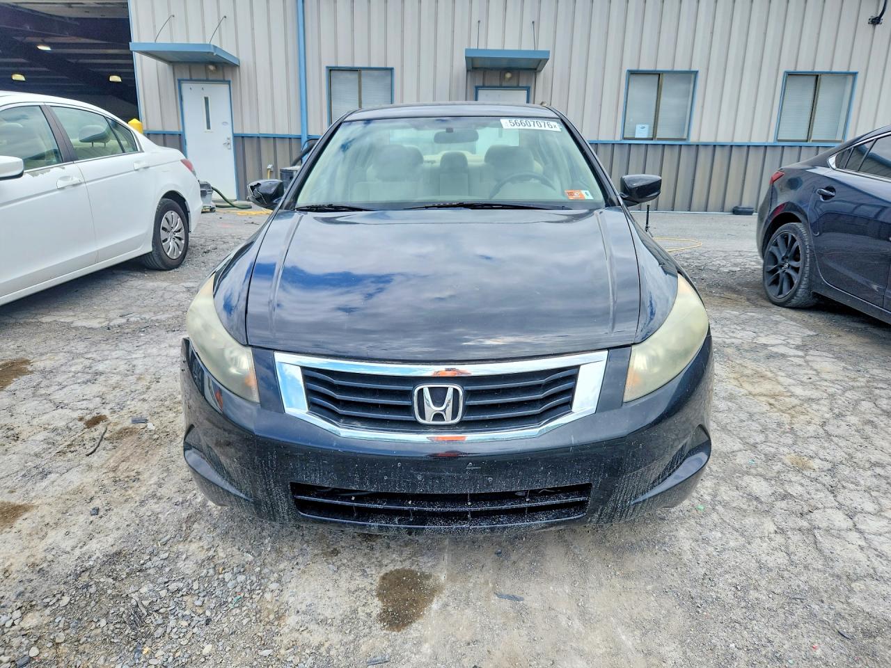 2009 Honda Accord Lx Black vin: 1HGCP26369A193009