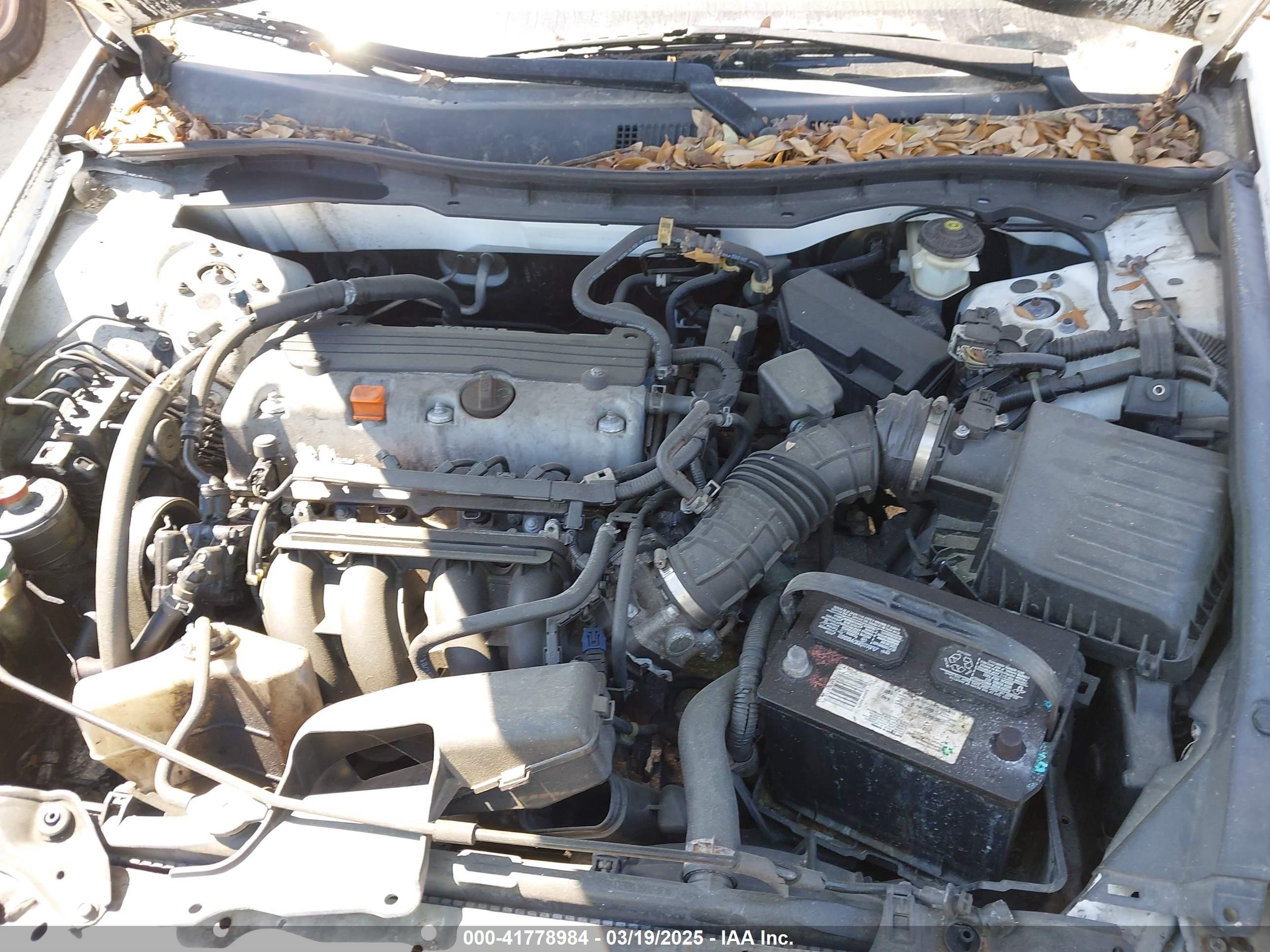 2009 Honda Accord 2.4 Lx Белый vin: 1HGCP26389A195618