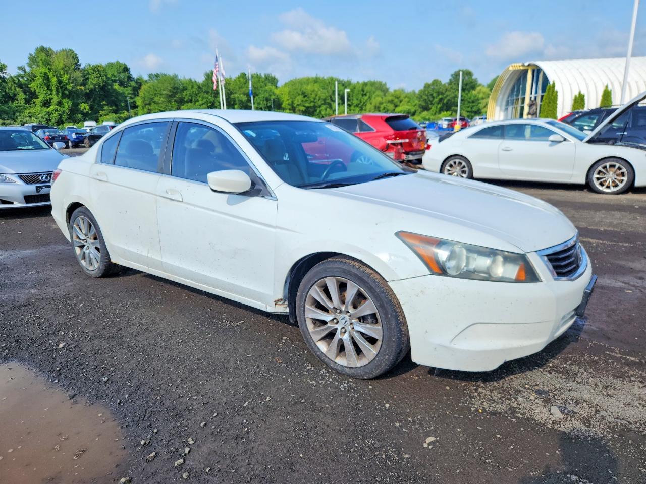 2008 Honda Accord Lx White vin: 1HGCP26398A050697