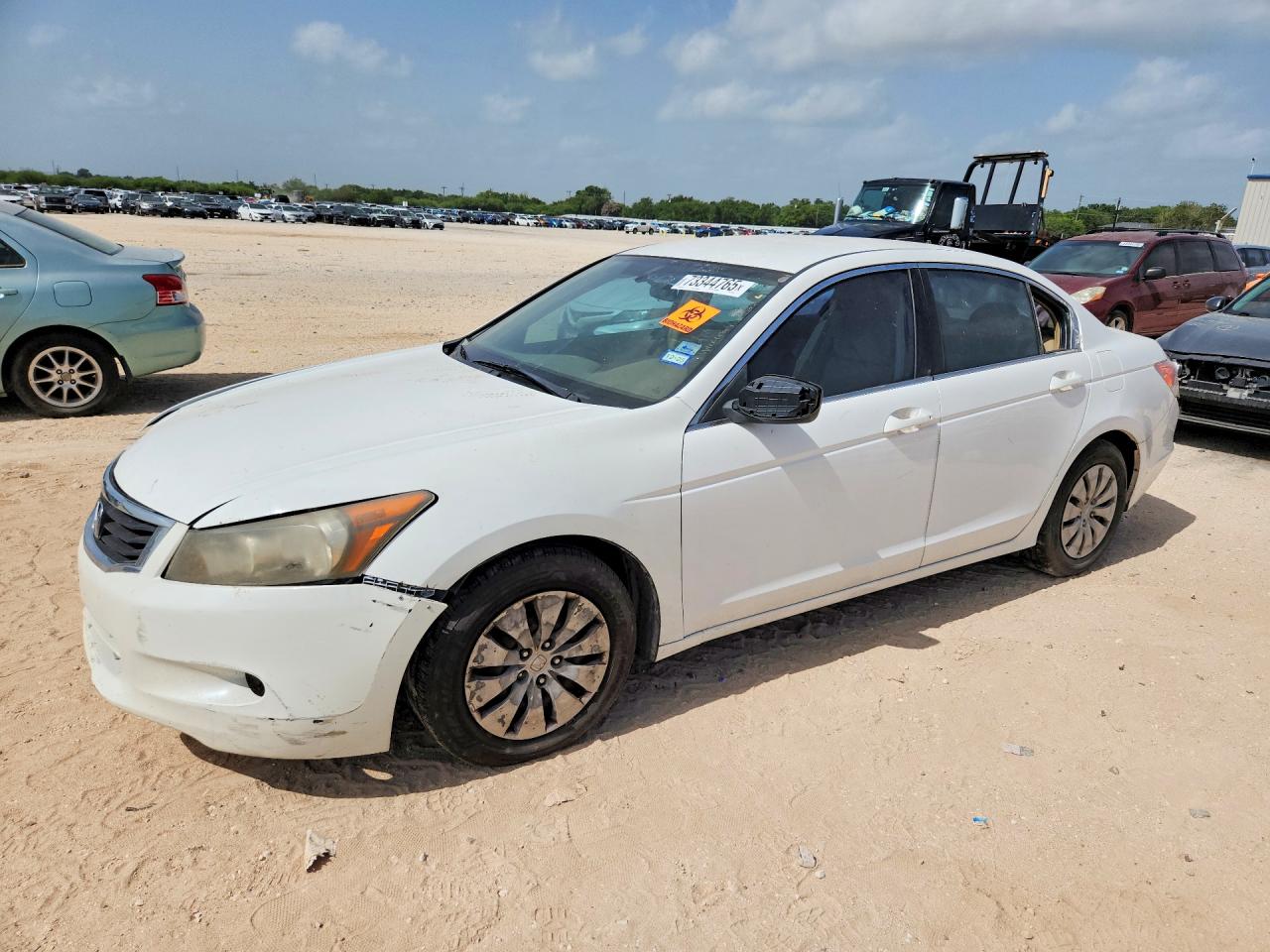 2009 Honda Accord Lx White vin: 1HGCP263X9A029892