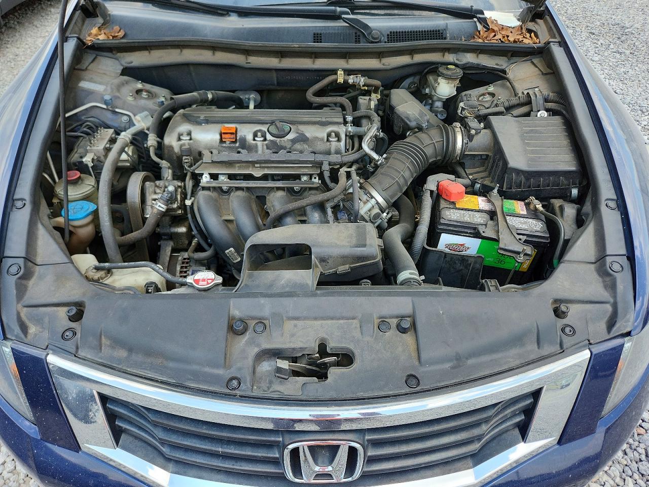 2009 Honda Accord Lx Blue vin: 1HGCP263X9A198312