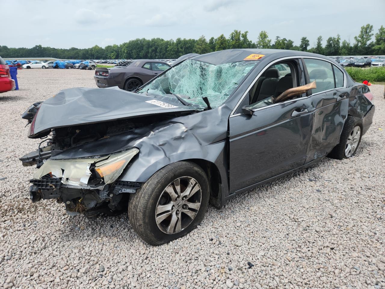 2009 Honda Accord Lxp Gray vin: 1HGCP26429A004056