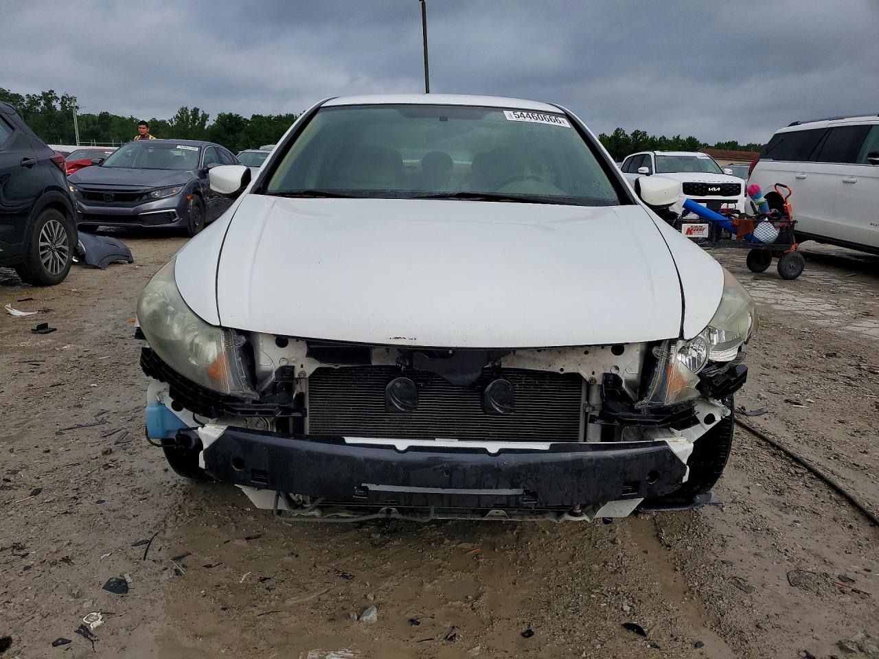 2009 Honda Accord Lxp White vin: 1HGCP26439A017561