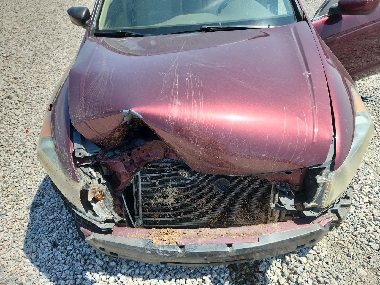 2008 Honda Accord Lxp Maroon vin: 1HGCP26448A087536