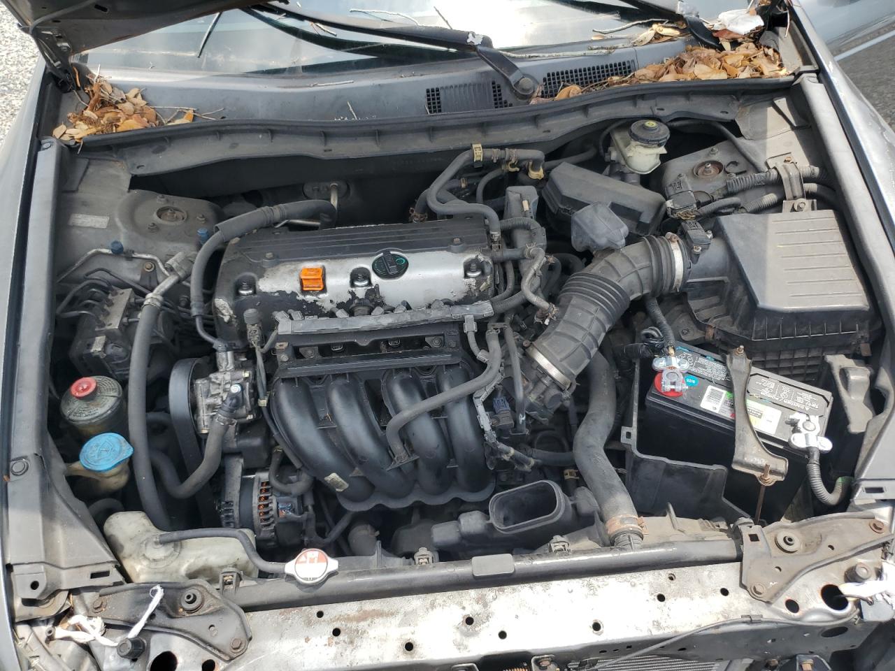 2008 Honda Accord Lxp Gray vin: 1HGCP26498A092408