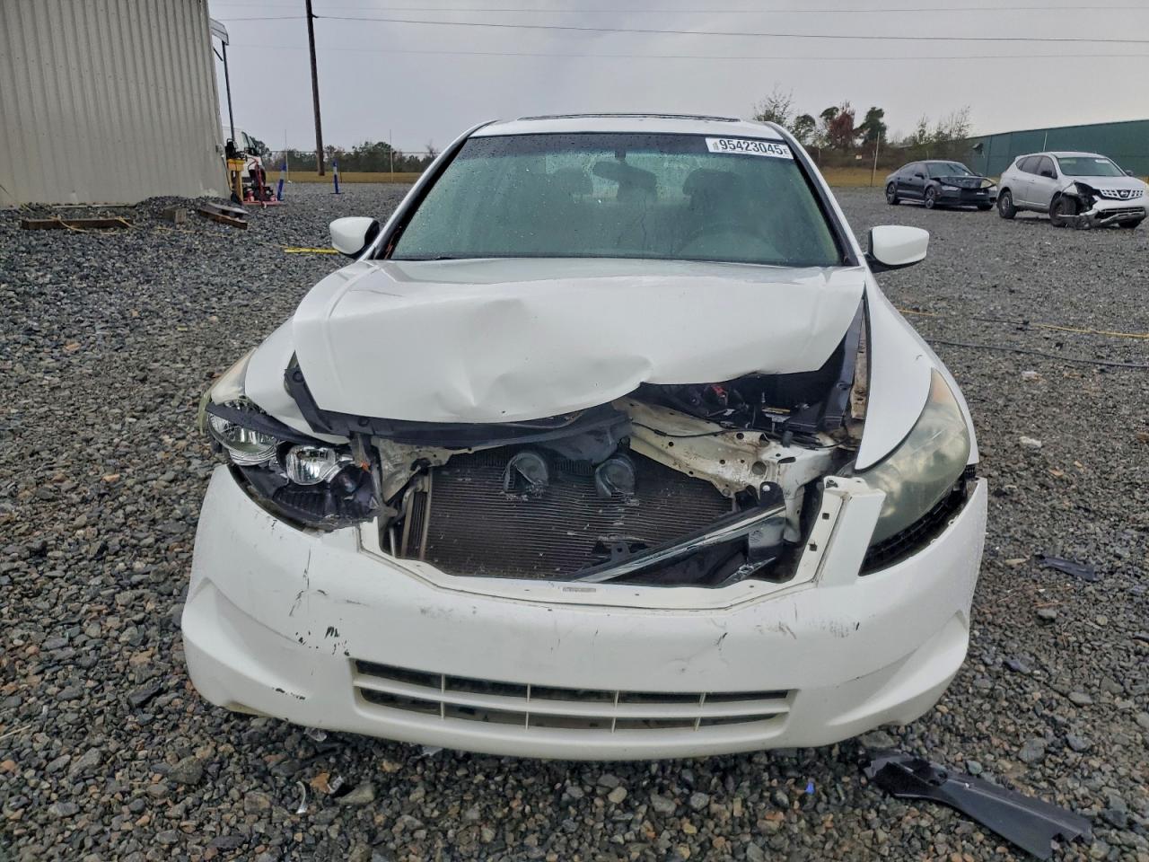 2009 Honda Accord Белый vin: 1HGCP26719A146019