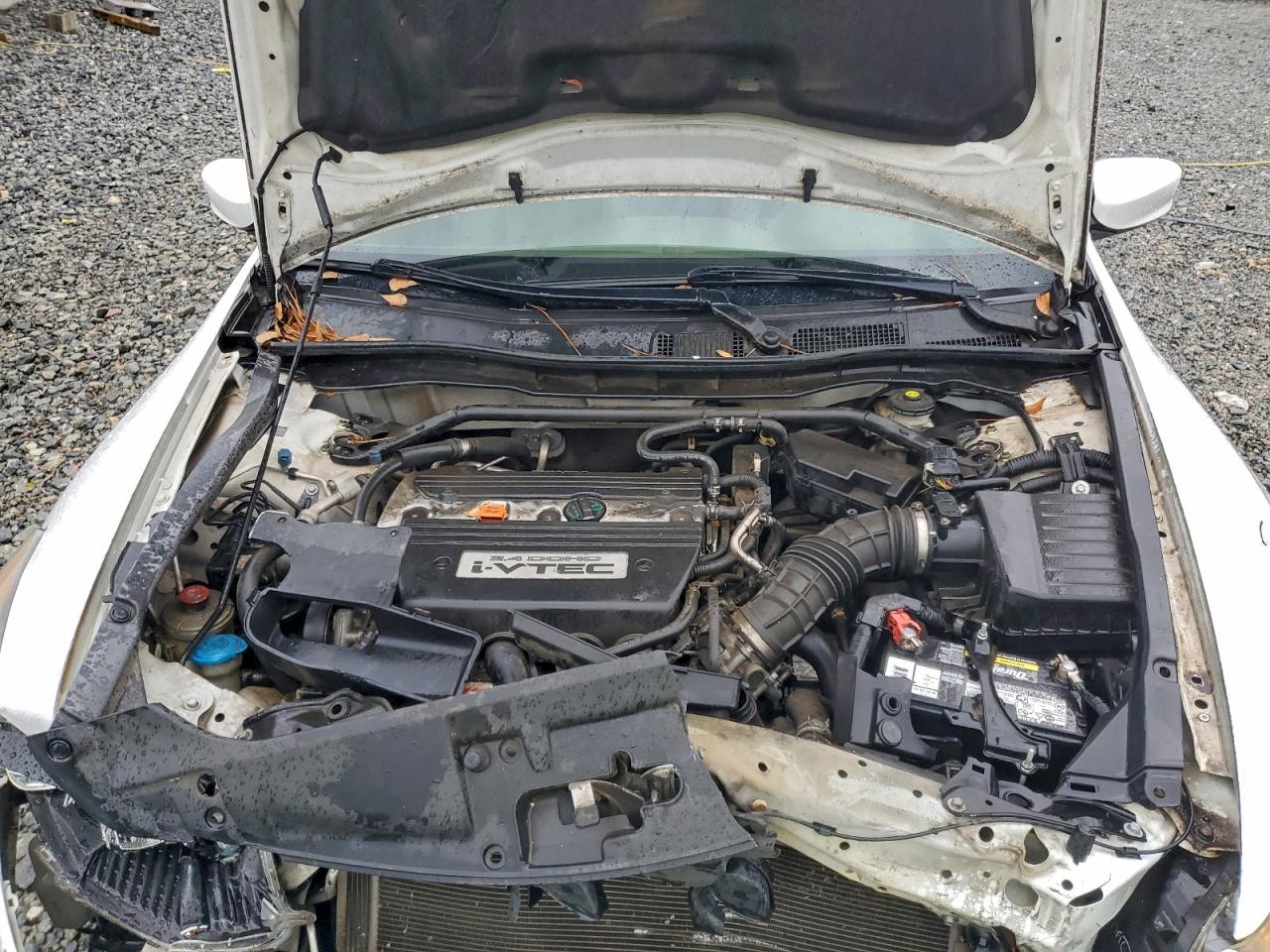 2009 Honda Accord Белый vin: 1HGCP26719A146019