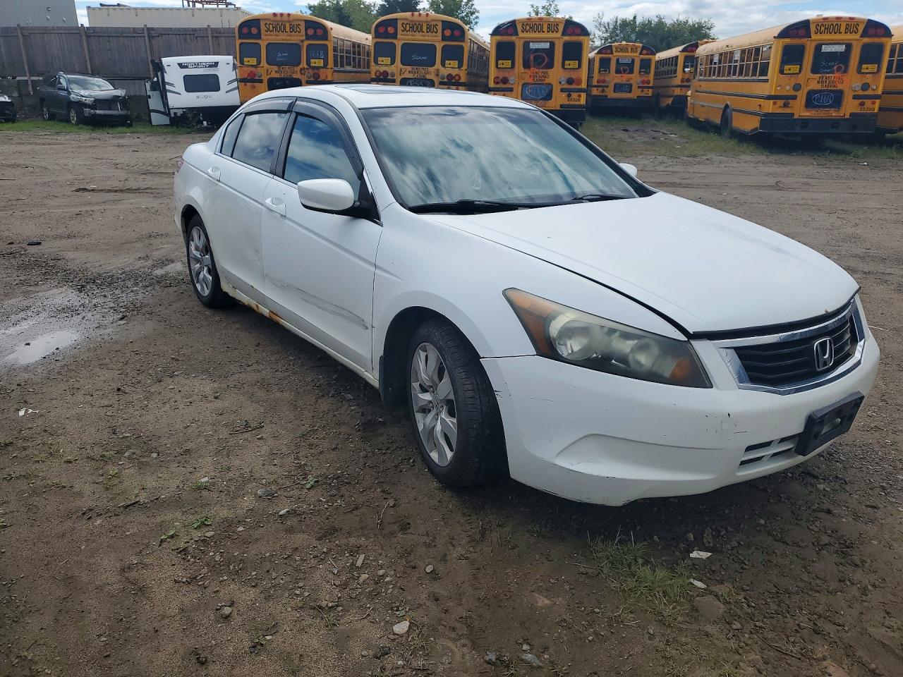 2008 Honda Accord White vin: 1HGCP26778A805669