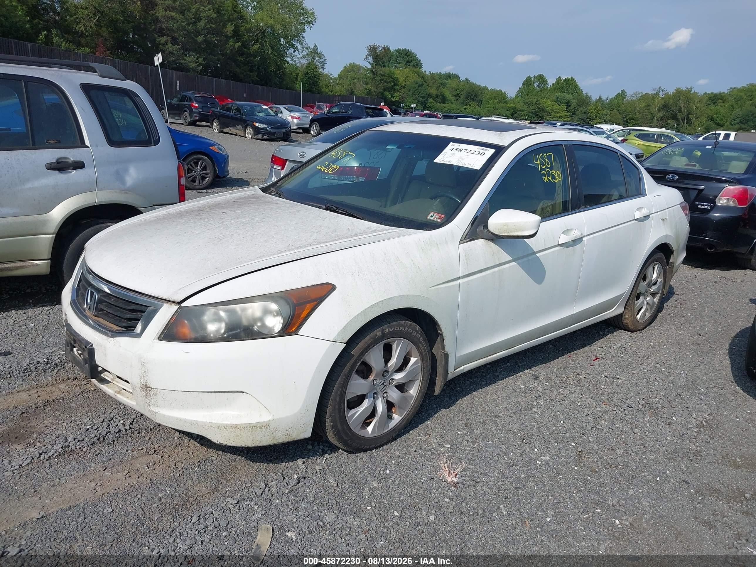 2008 Honda Accord 2.4 Ex-l White vin: 1HGCP26808A030270