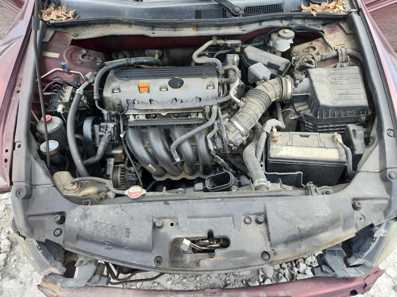 2008 Honda Accord Exl Burgundy vin: 1HGCP26808A037574