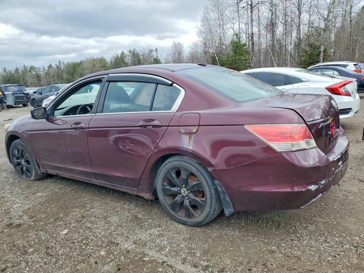 2008 Honda Accord Exl Burgundy vin: 1HGCP26808A812181