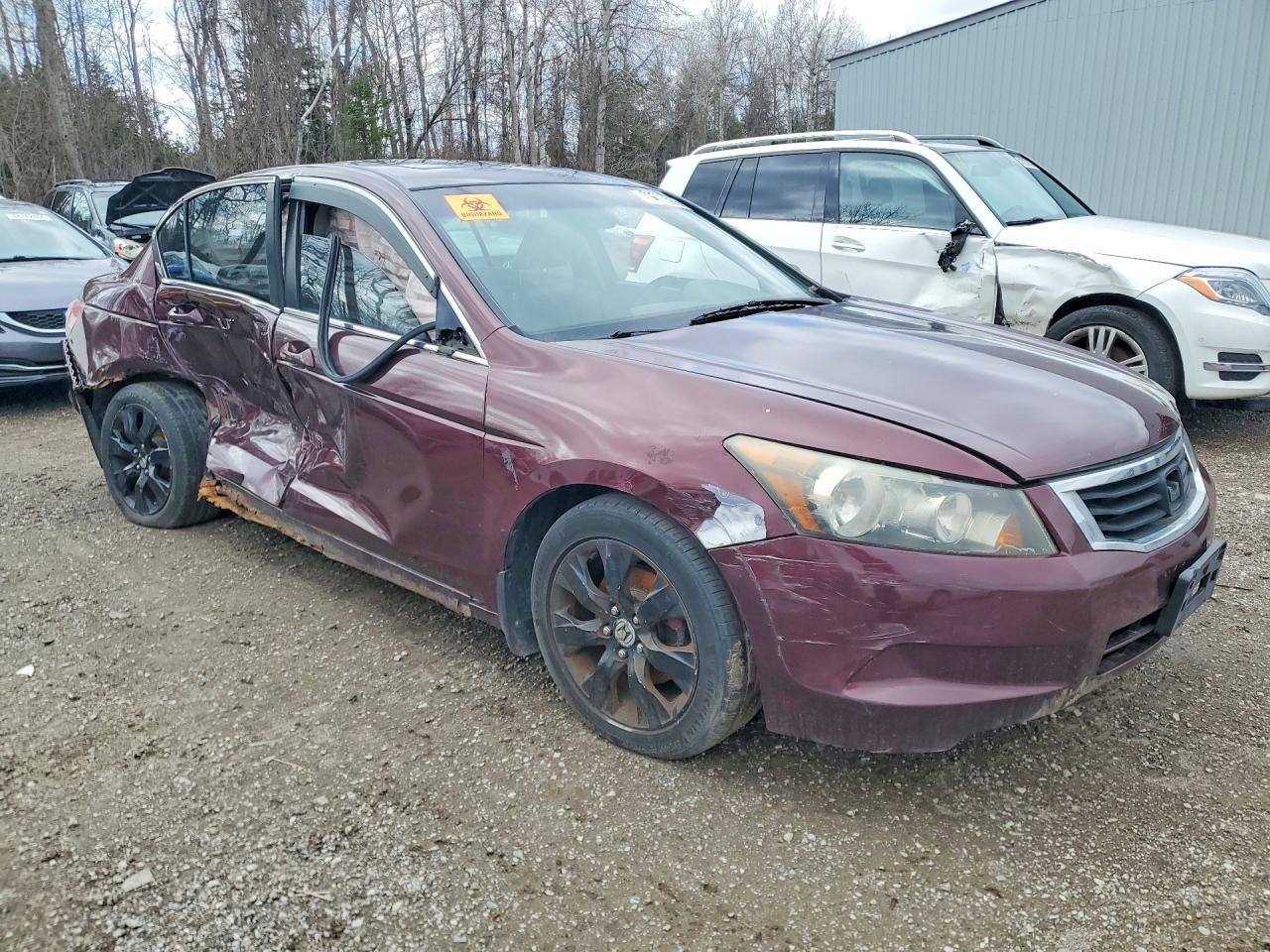 2008 Honda Accord Exl Burgundy vin: 1HGCP26808A812181