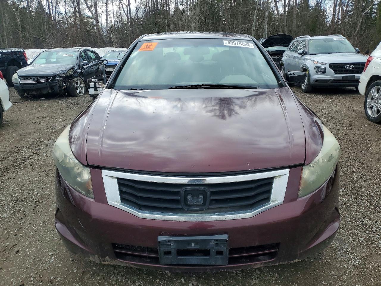 2008 Honda Accord Exl Burgundy vin: 1HGCP26808A812181