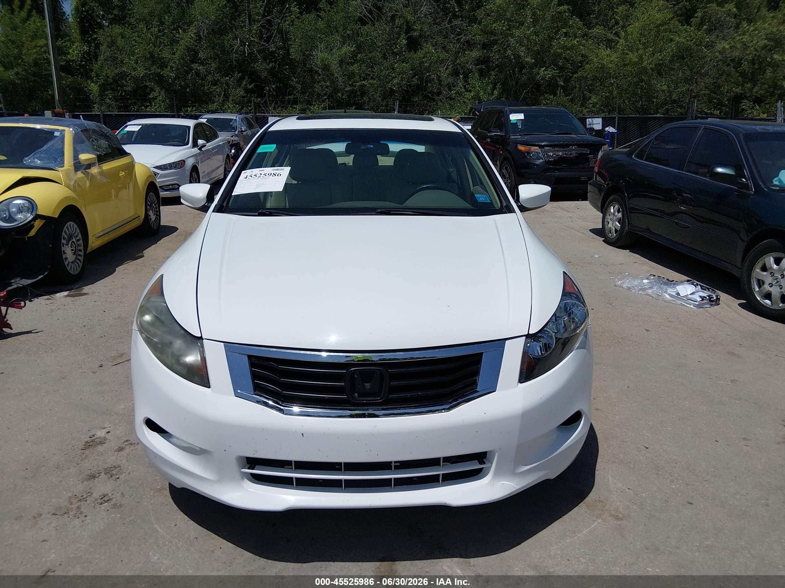 2009 Honda Accord 2.4 Ex-l White vin: 1HGCP26809A035681