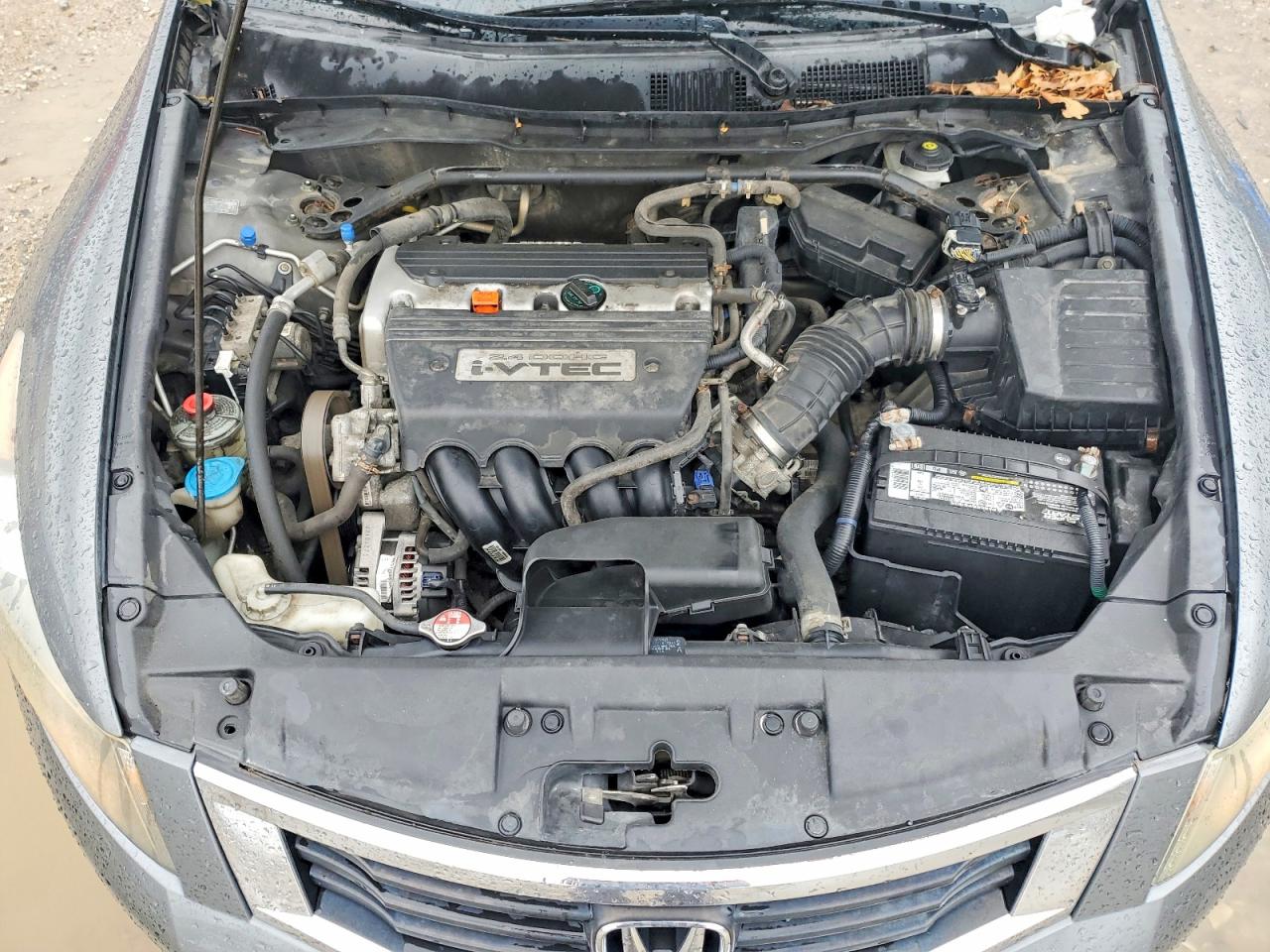 2009 Honda Accord Exl Gray vin: 1HGCP26809A050083