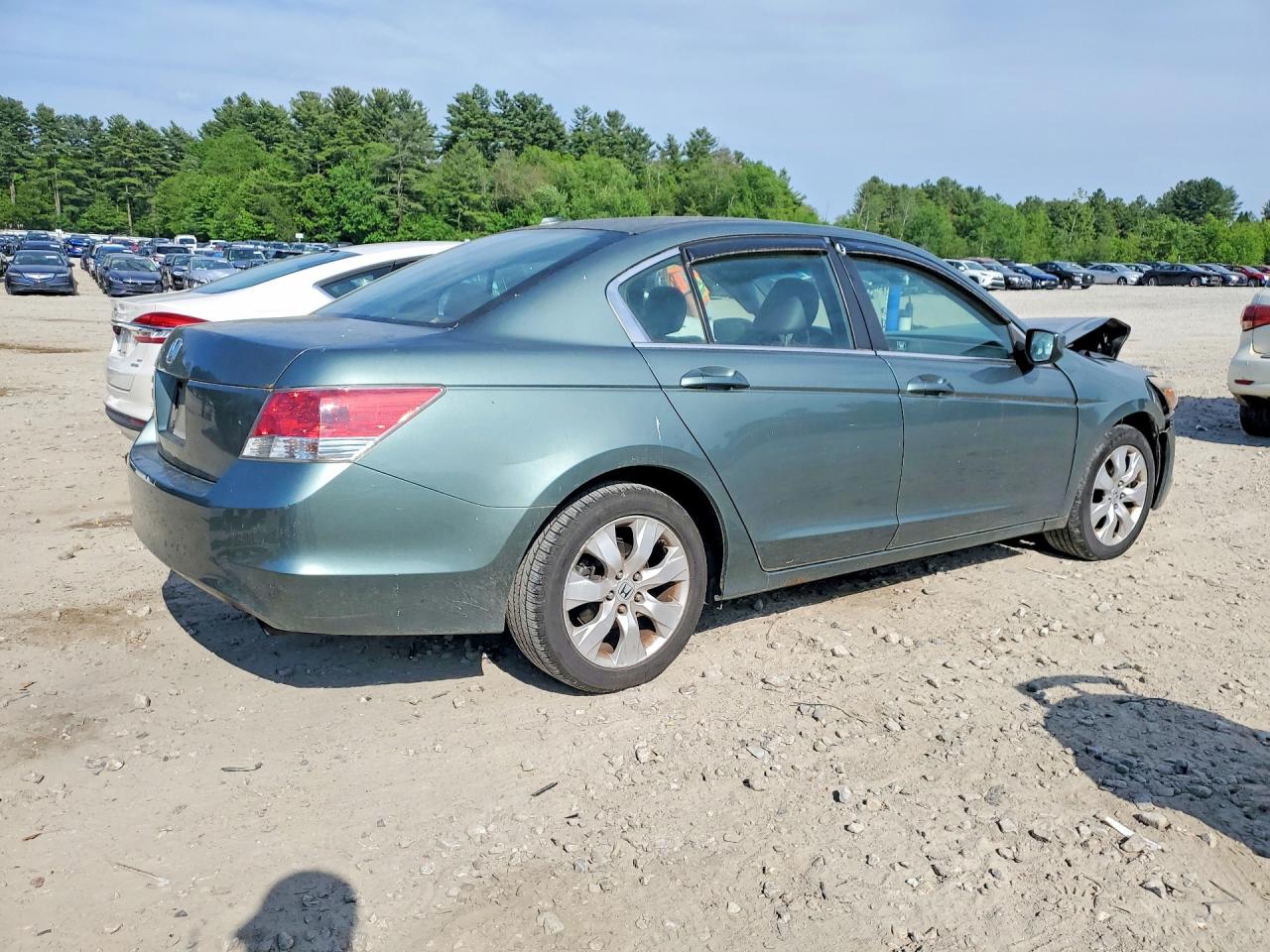 2009 Honda Accord Exl Green vin: 1HGCP26809A097775