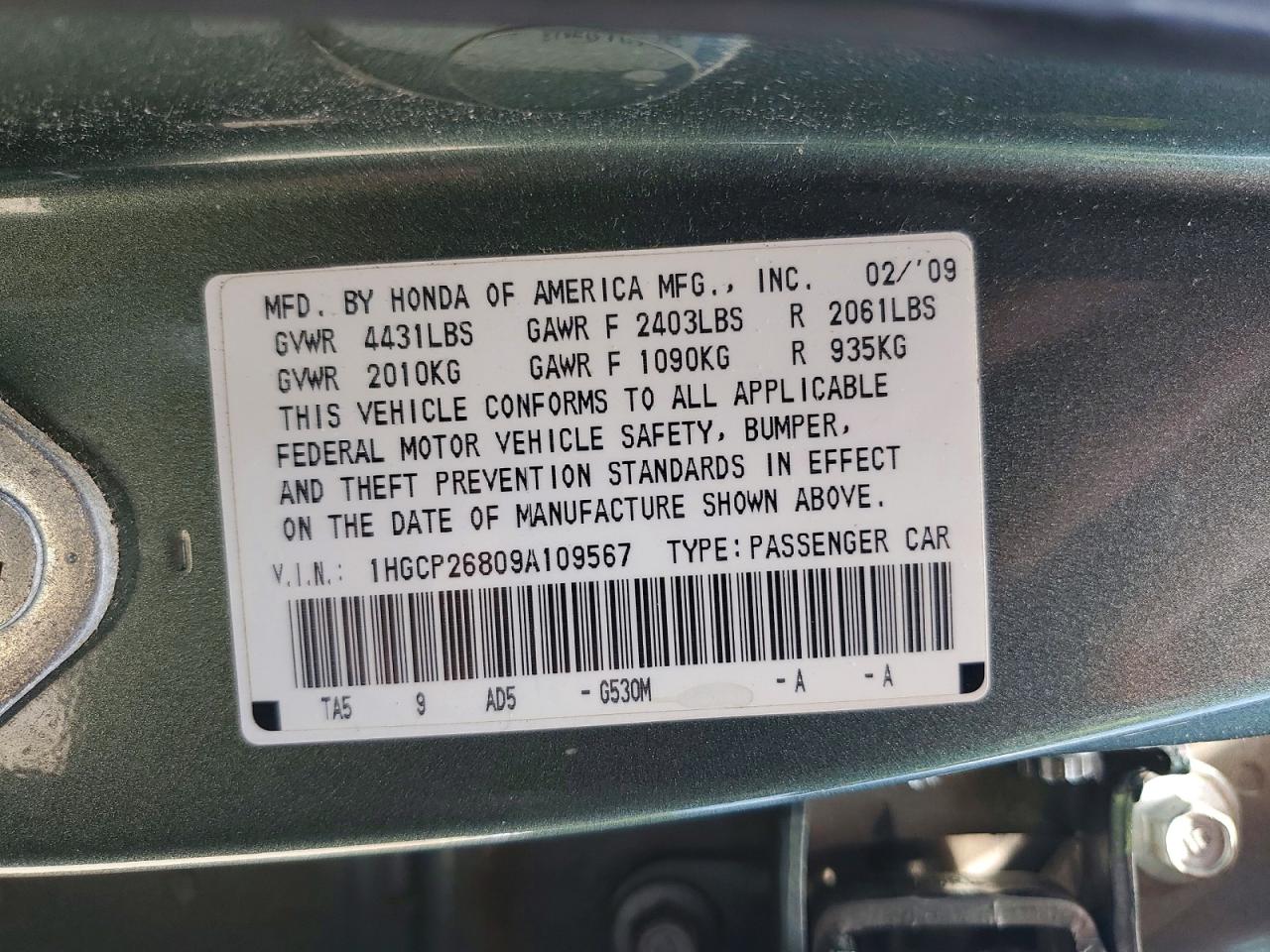2009 Honda Accord Exl Бирюзовый vin: 1HGCP26809A109567