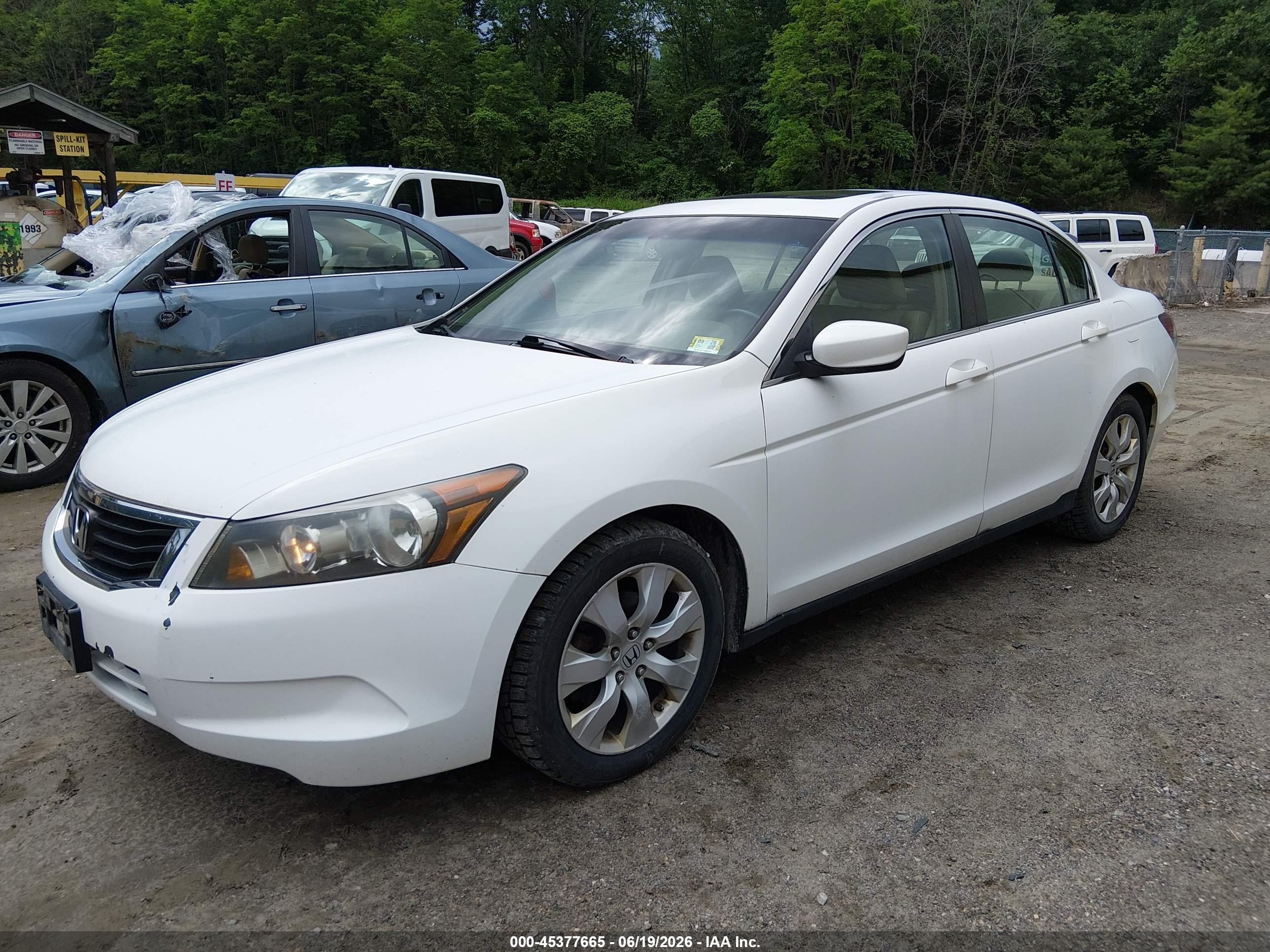 2009 Honda Accord 2.4 Ex-l White vin: 1HGCP26809A175908