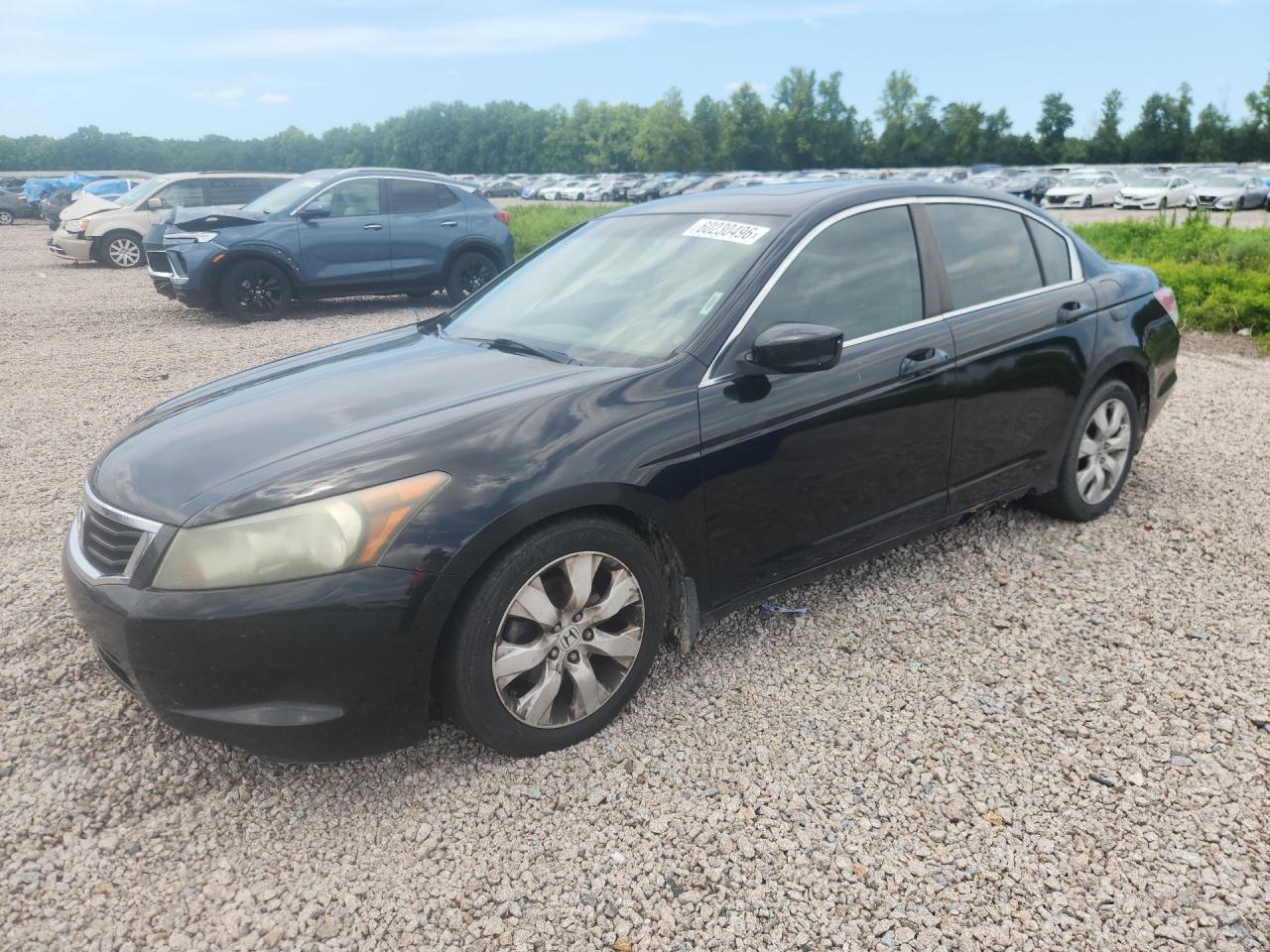 2009 Honda Accord Exl Черный vin: 1HGCP26819A009946