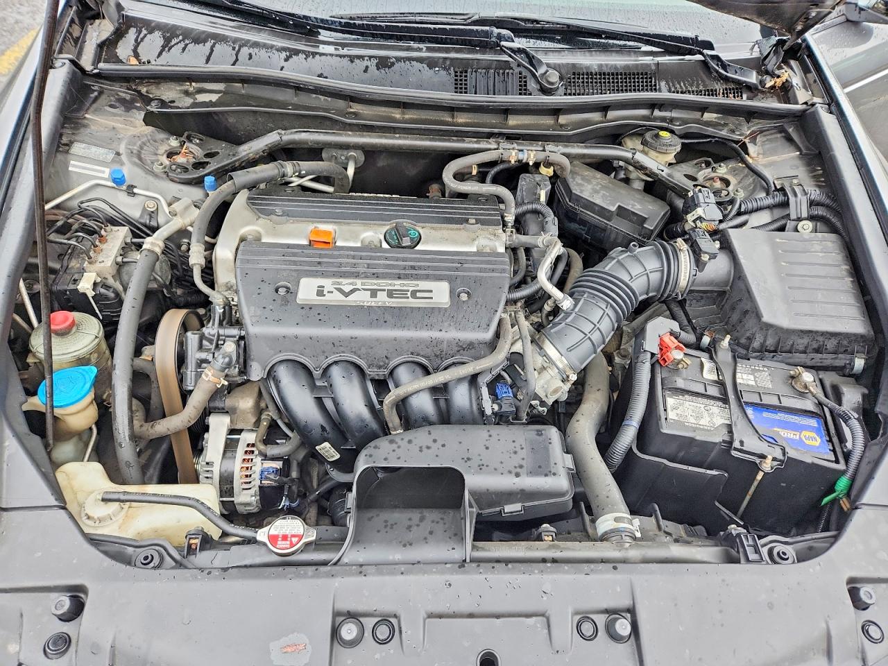 2009 Honda Accord Exl Gray vin: 1HGCP26819A029744