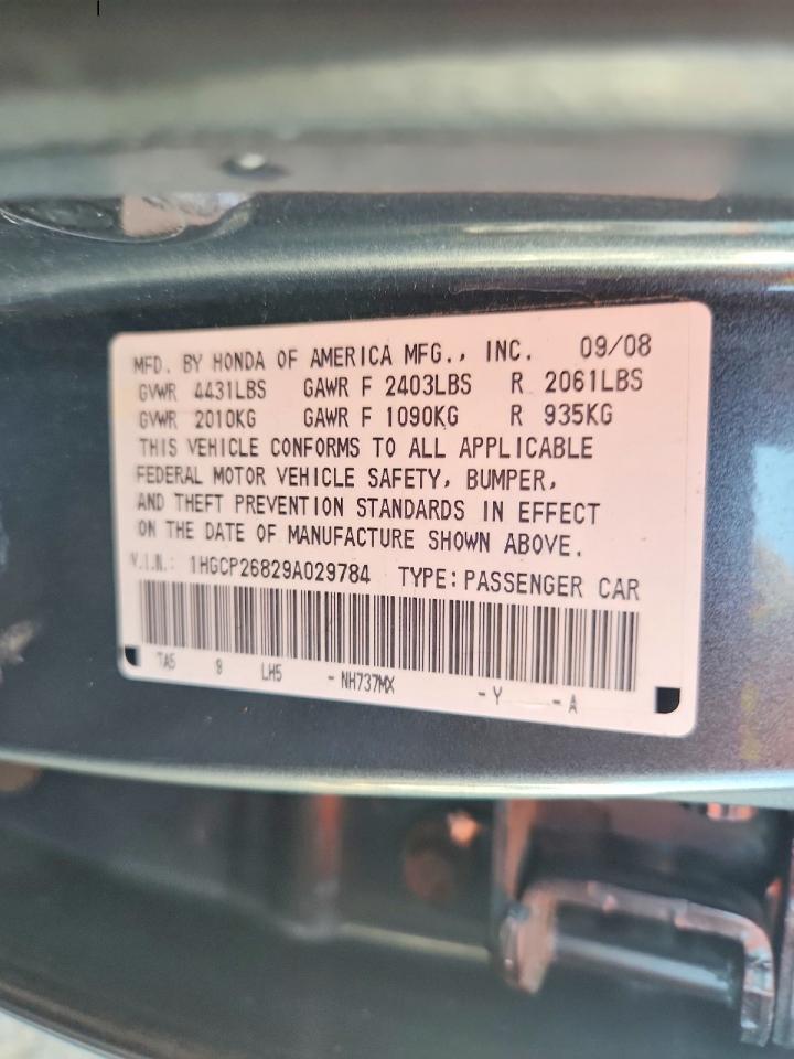 2009 Honda Accord Exl Gray vin: 1HGCP26829A029784