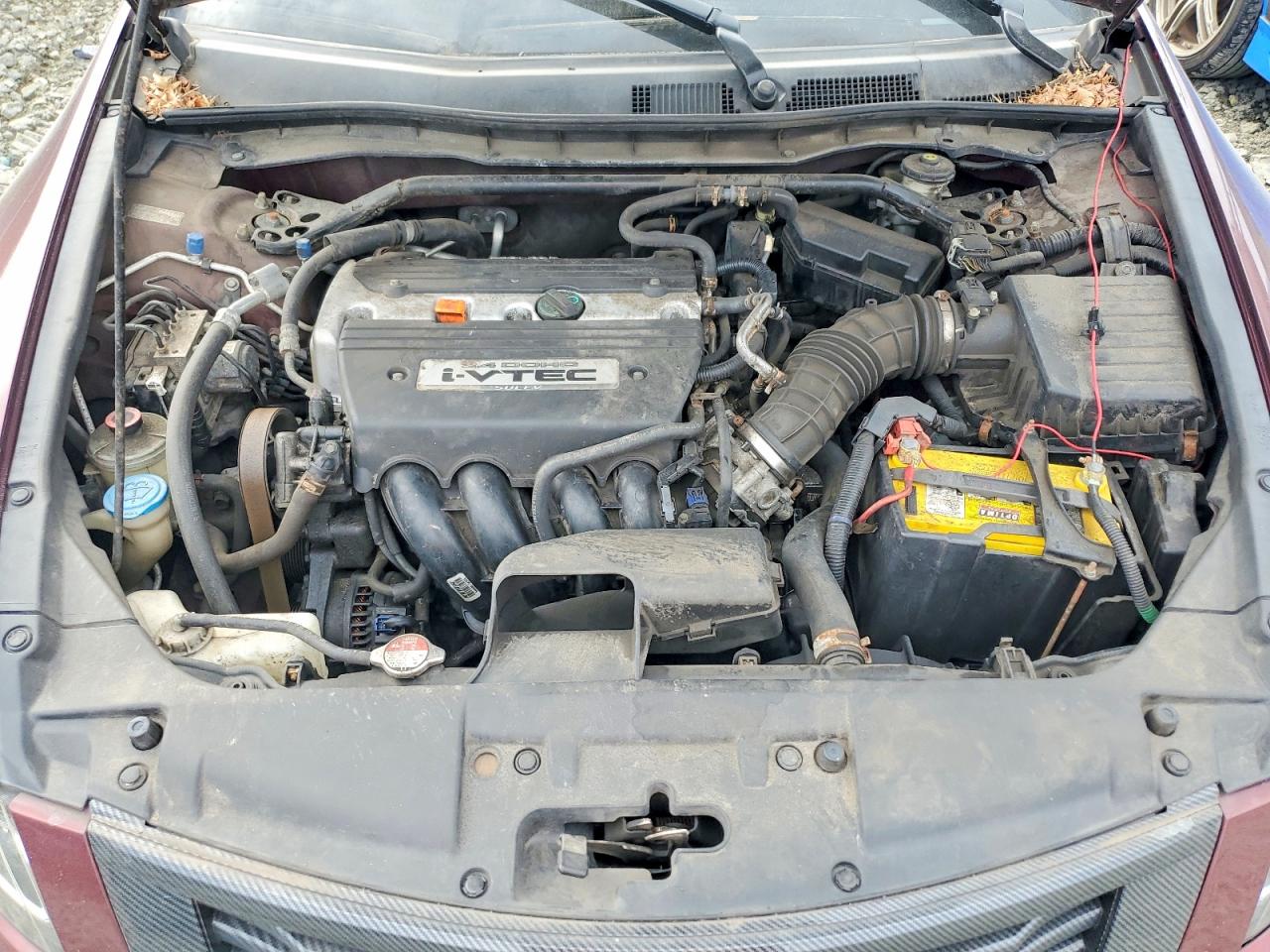 2009 Honda Accord Exl Maroon vin: 1HGCP26829A073865